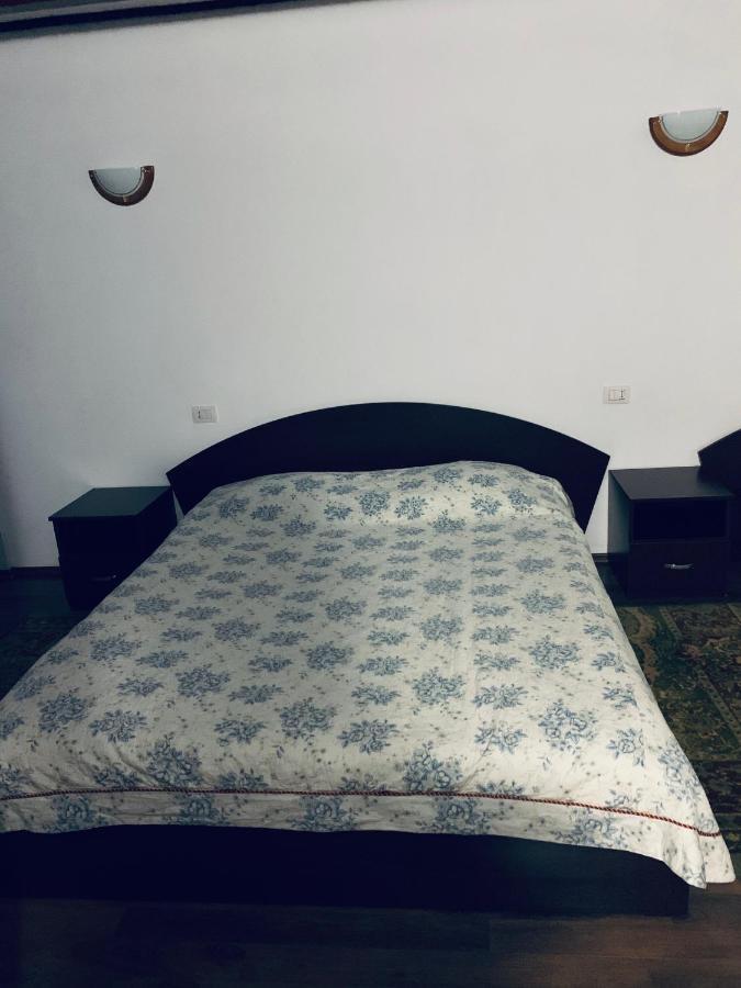 Pensiunea Pietrosul Borşa Zewnętrze zdjęcie