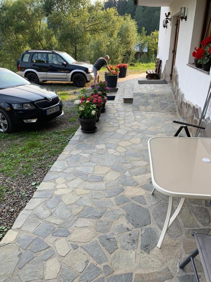 Pensiunea Pietrosul Borşa Zewnętrze zdjęcie